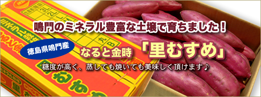 ���ނ���